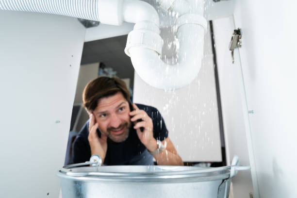 Best Affordable Plumber Near Me  in Gower, MO